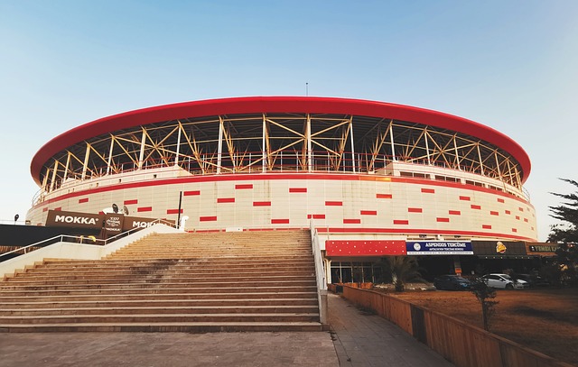 能力提升 能力提升