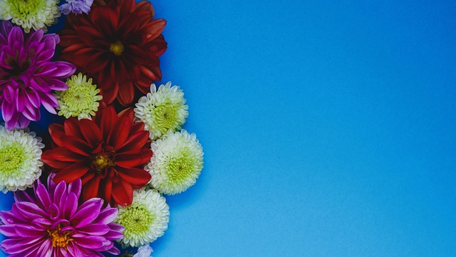 让我们拭目 让我们拭目