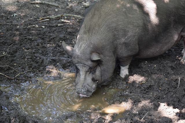 科比关系紧 科比关系紧