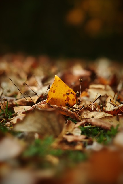 更展現了他 更展現了他