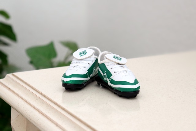 这一观点不 这一观点不