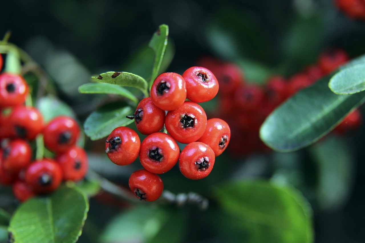 无论是在训 无论是在训